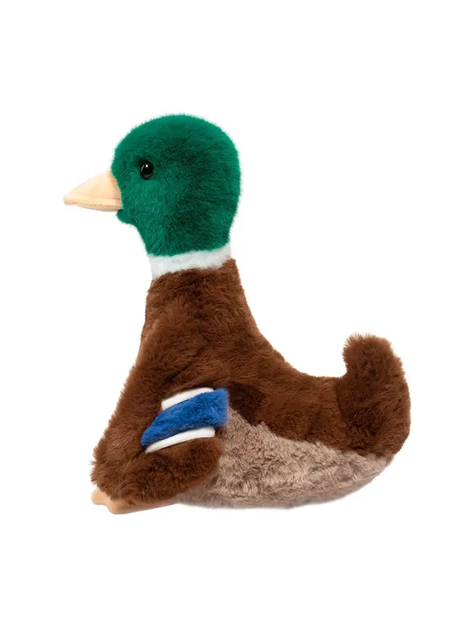 Desie Mallard Duck