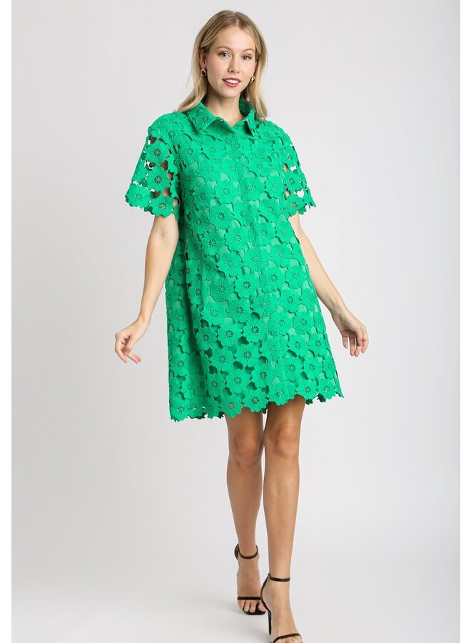 Floral Lace Collared Dress Emerald