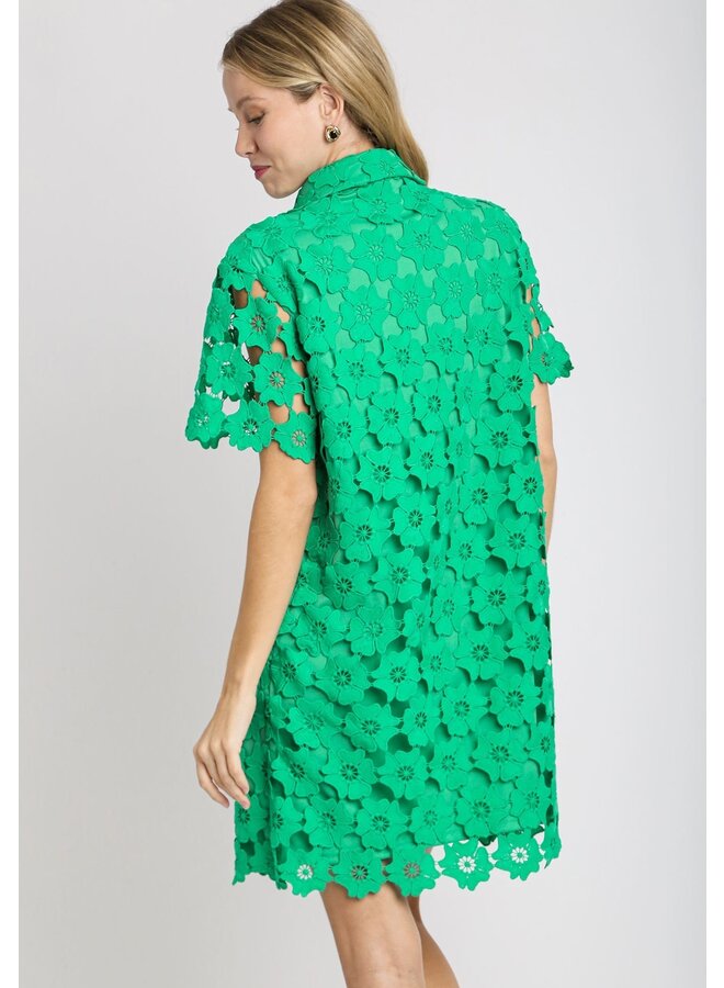 Floral Lace Collared Dress Emerald