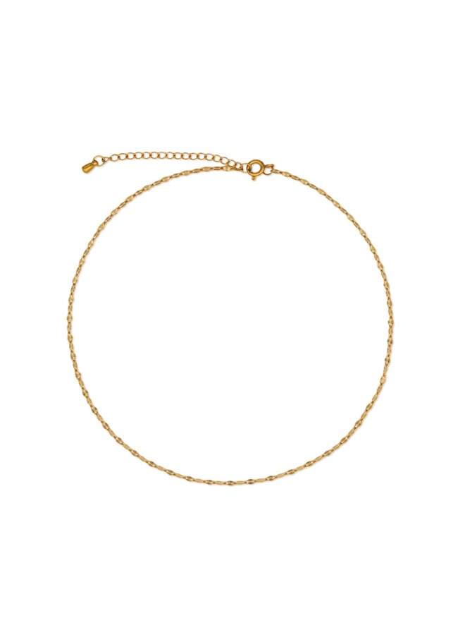 Caro Choker Necklace