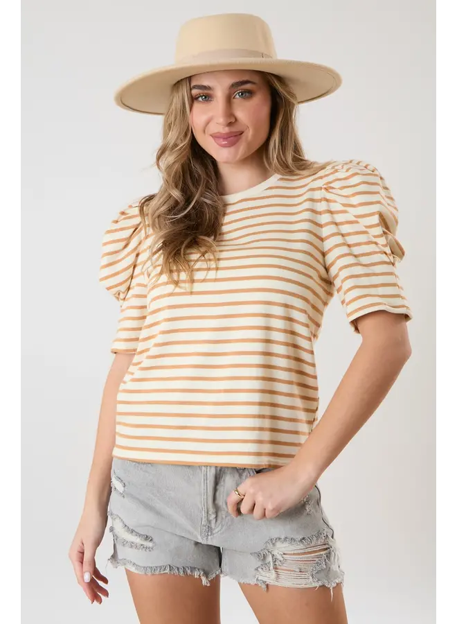 Taupe/Cream Striped Top