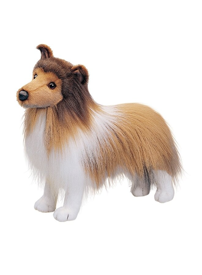 Dixie Sheltie