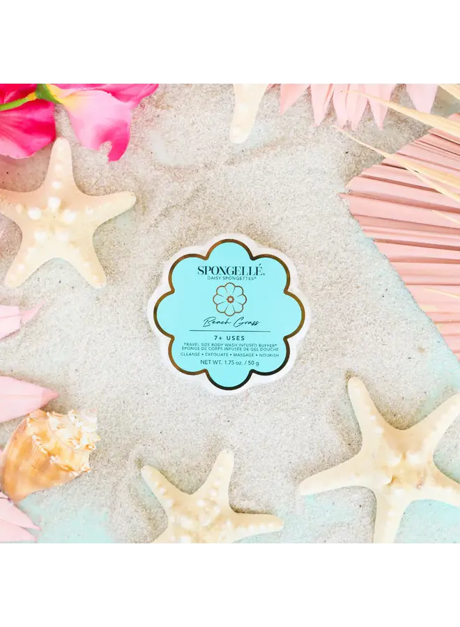 Daisy Collection Spongettes Beach Grass