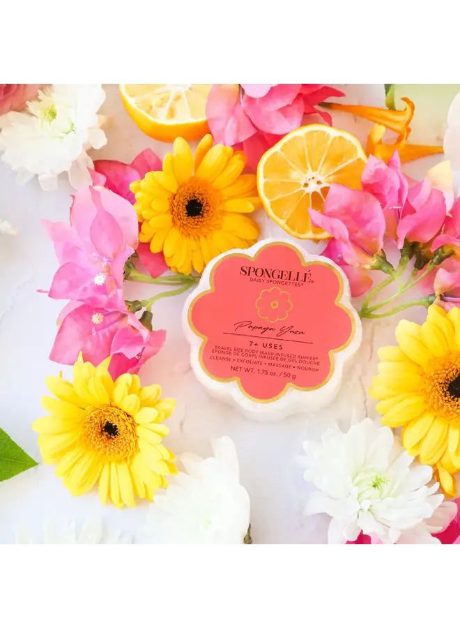 Daisy Collection Spongettes Papaya Yuzu