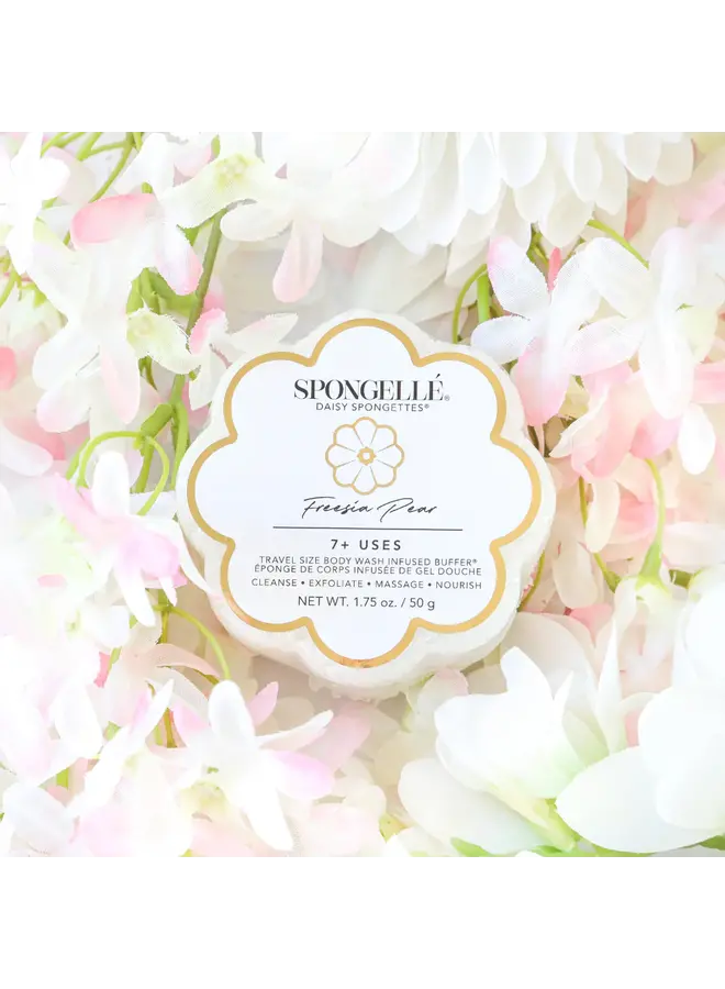 Daisy Collection Spongettes Freesia Pear
