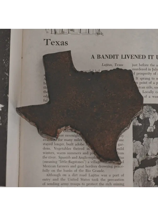 Tejas Paperweight