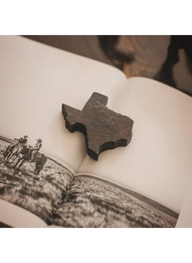 Tejas Paperweight