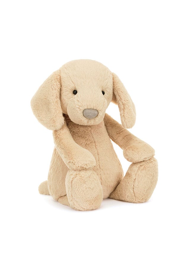Bashful Luxe Puppy Orlando Big