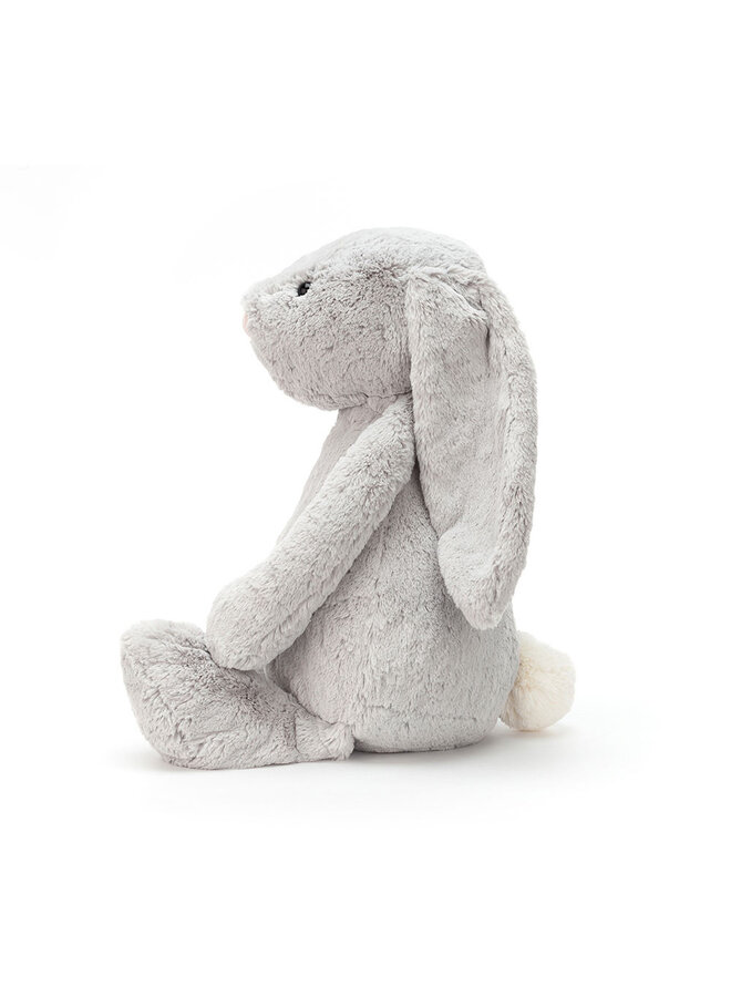 Bashful Grey Bunny Really Big