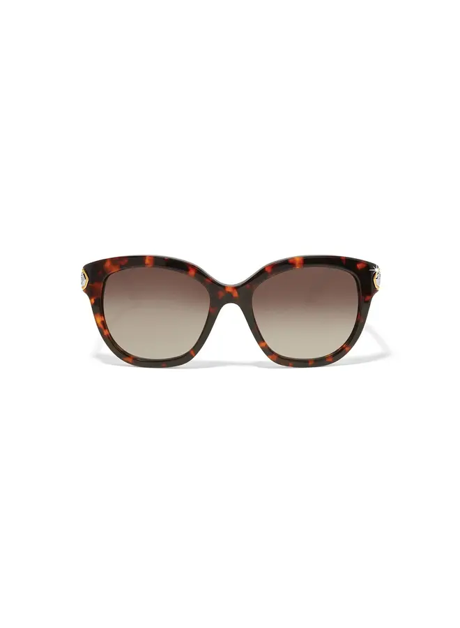 Intrigue Amber Tortoise Sunglasses