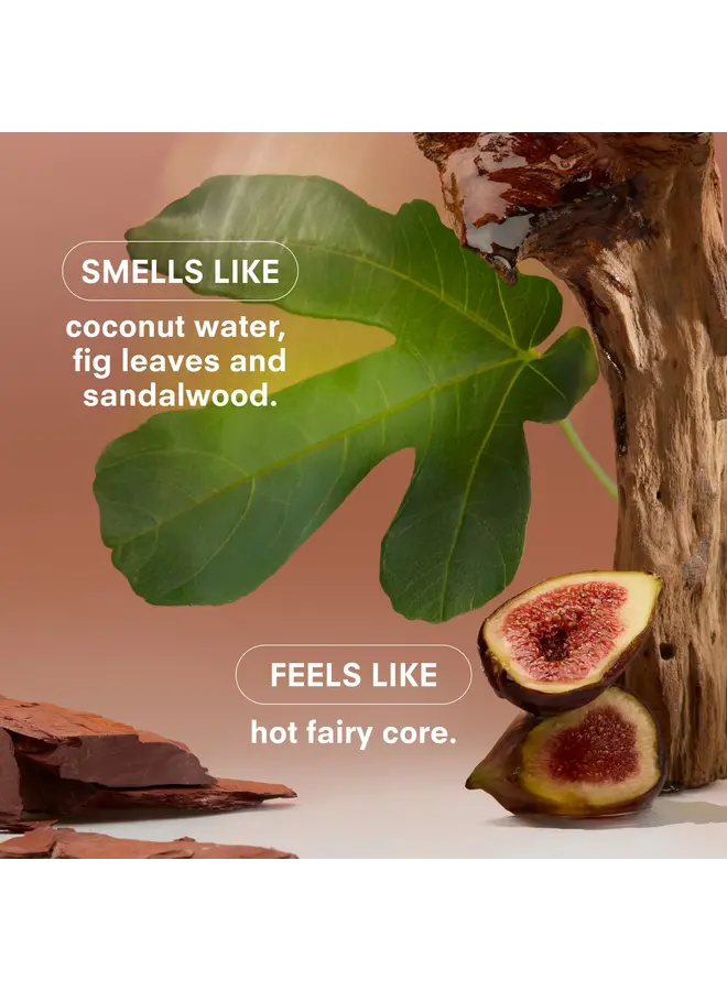 Woodphoria Fragrance