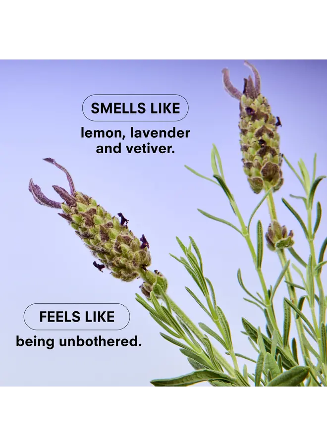 Essentials Candle Lavendare