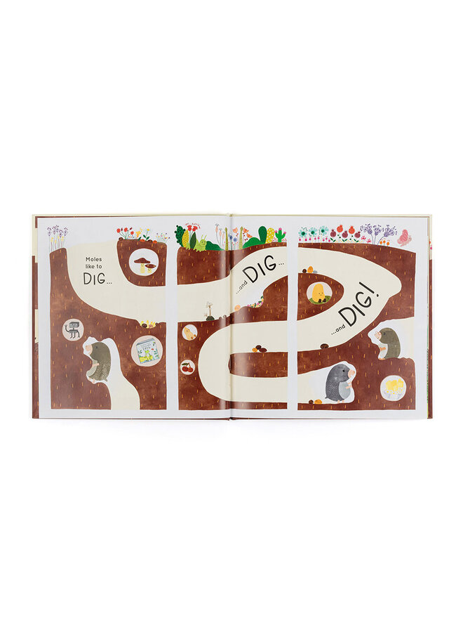 Muswell Mole and the Buried Treasure Book