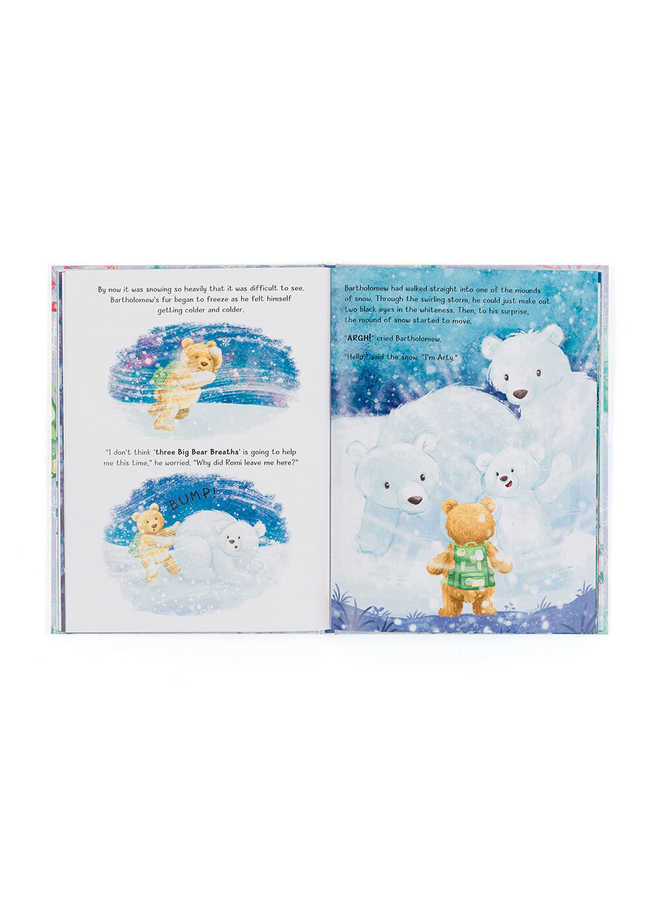 Bartholomew Bear and the Snow Giants Book