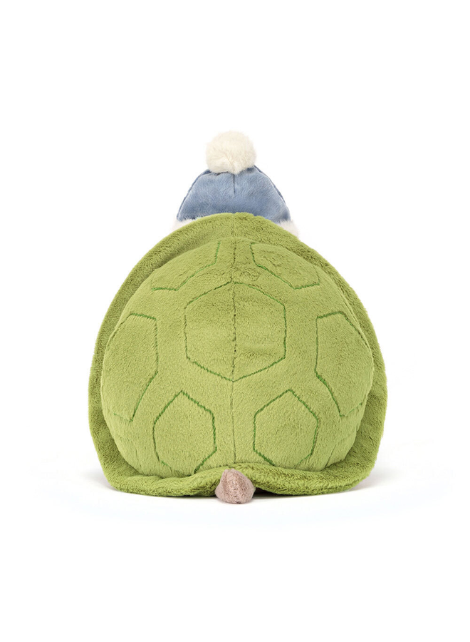 Timmy Turtle Skating