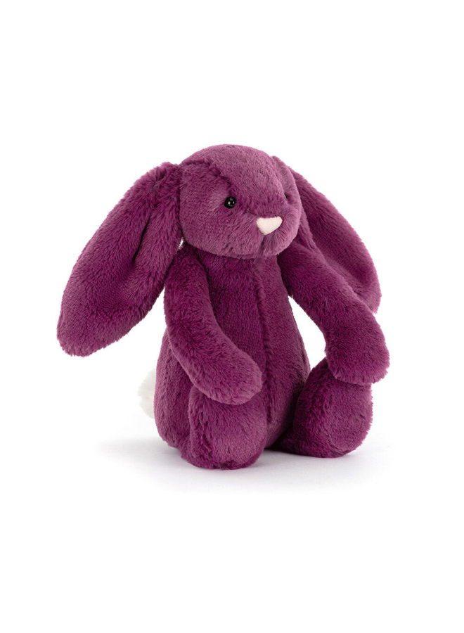 Bashful Allium Bunny Little