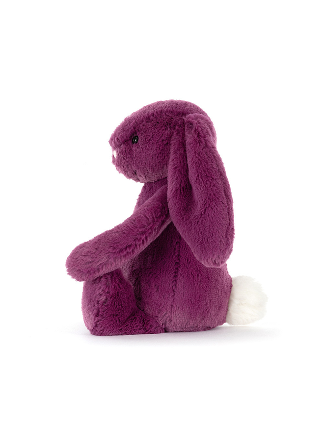 Bashful Allium Bunny Little