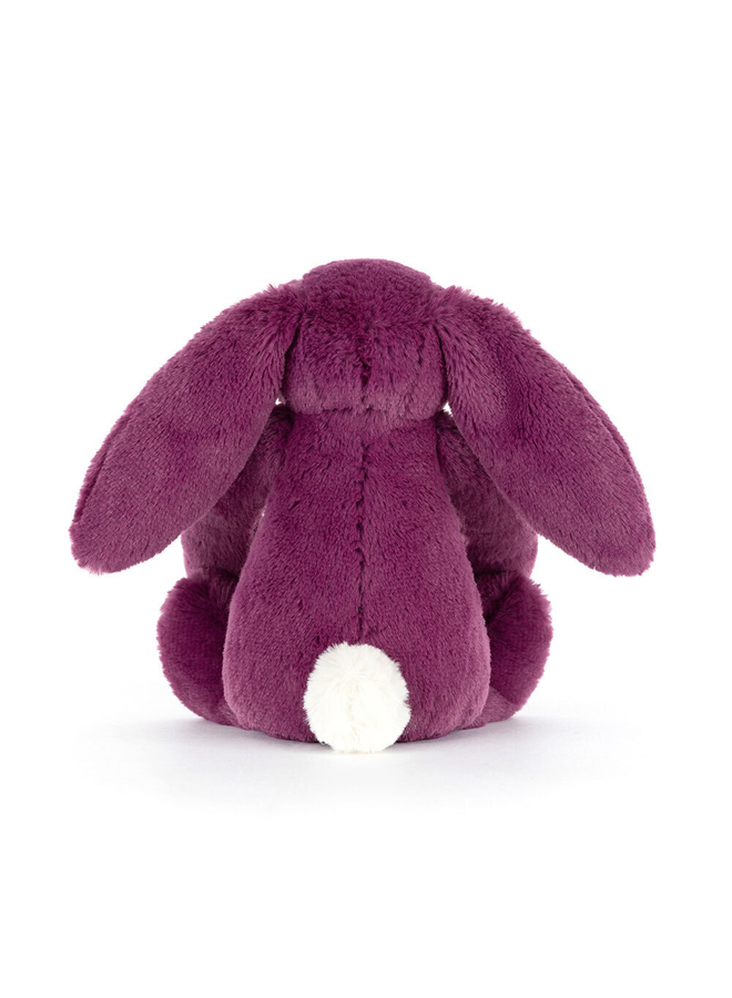 Bashful Allium Bunny Little
