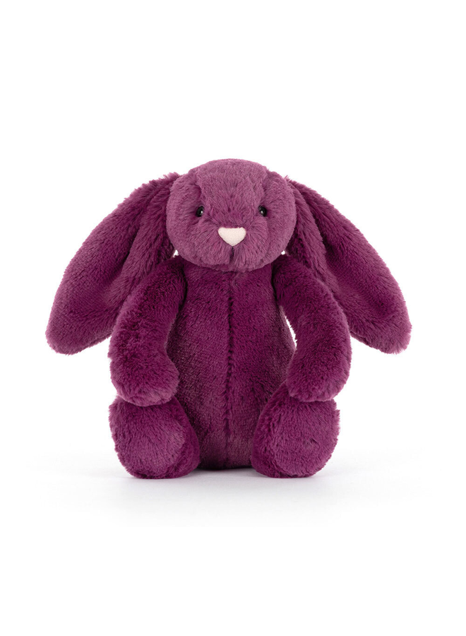 Bashful Allium Bunny Little
