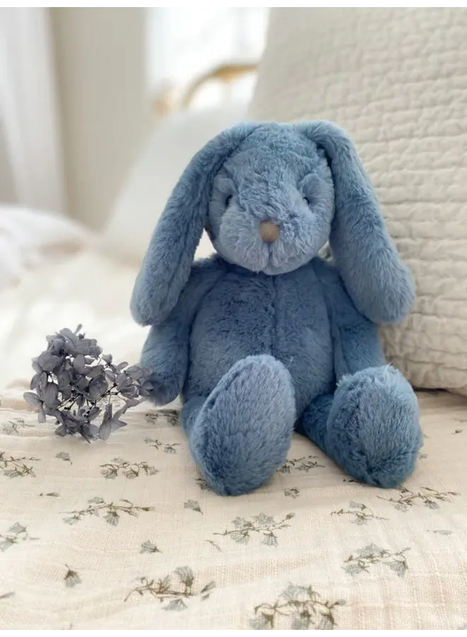 Blue Bunny