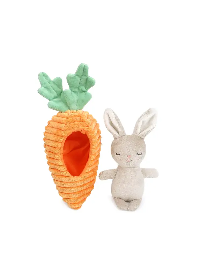 Bunny in Carrot Activity Toy