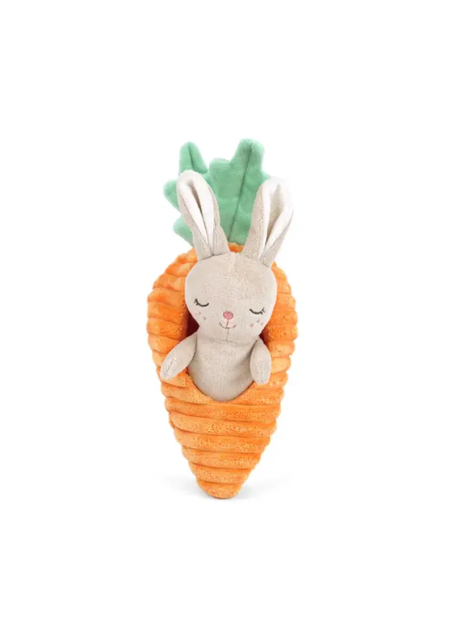 Bunny in Carrot Activity Toy