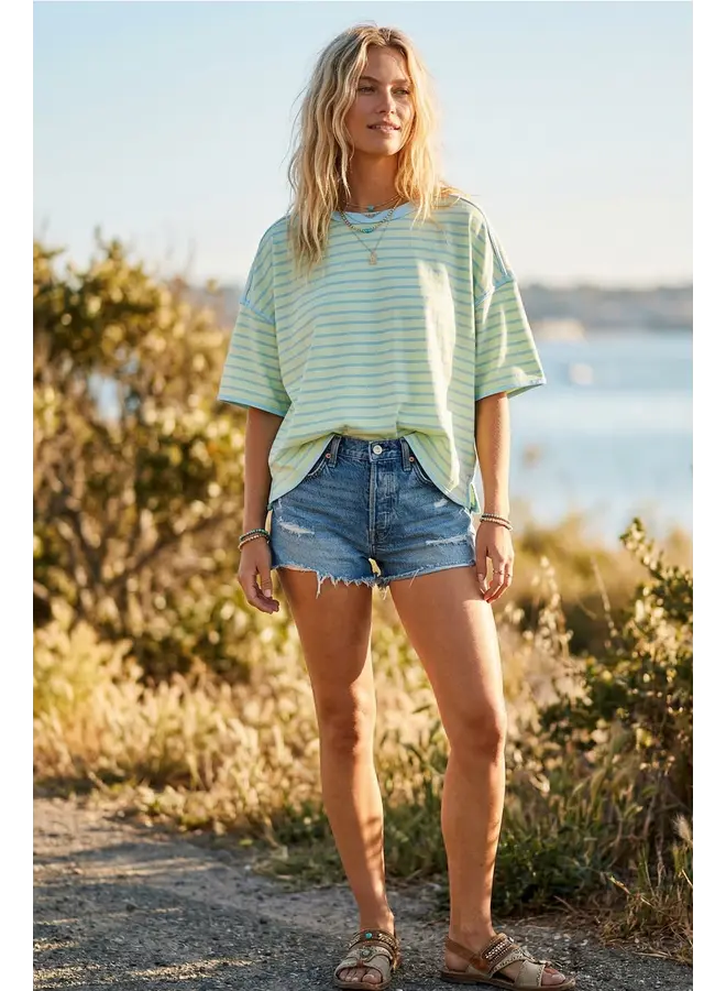 Striped Relaxed Fit Knit Tee Mint & Blue