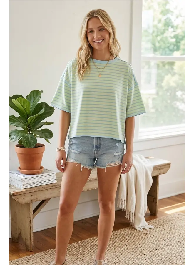 Striped Relaxed Fit Knit Tee Mint & Blue