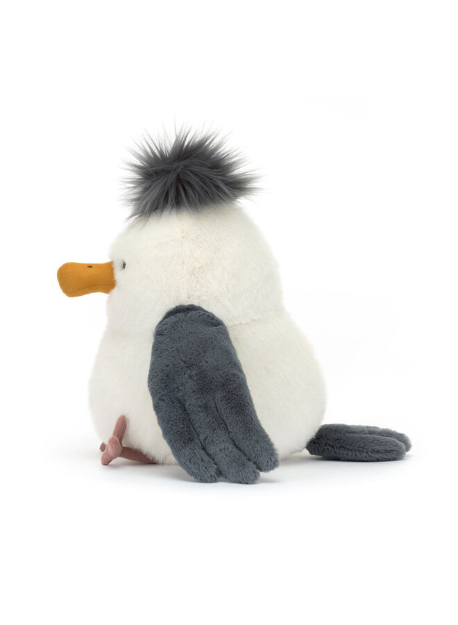 Chip Seagull