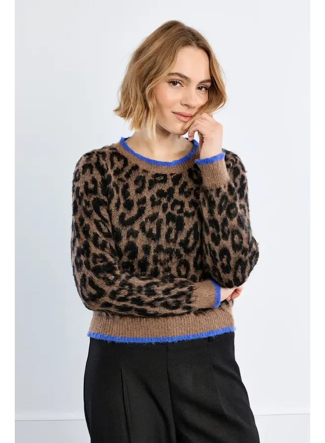 Knitted Sweater Leopard Brown with Blue Trim