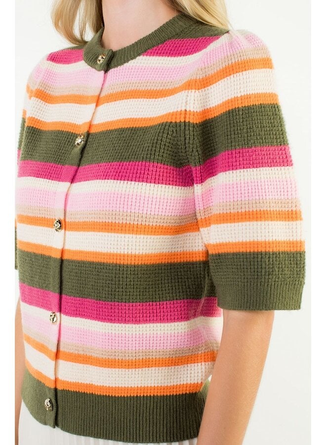 Short Sleeve Multi Color Knit Top Olive