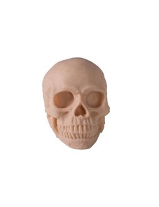 Reelskin Synthetic Skull