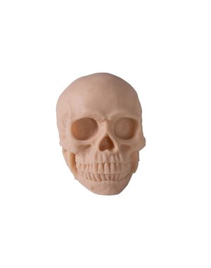 Reelskin Synthetic Skull