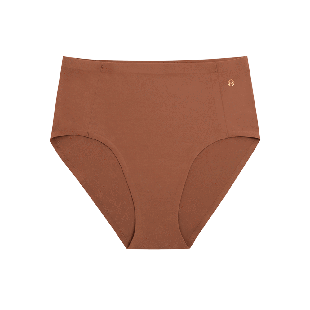 Retro HighRise Bikini Panty Clay 17042141714214 Lace & Day