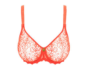 Cassiopee Seamless Embroidered Full Cup Bra (C-G)
