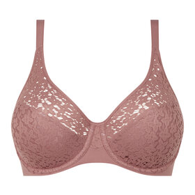 Seamless Bra with Lace Overlay, Bras