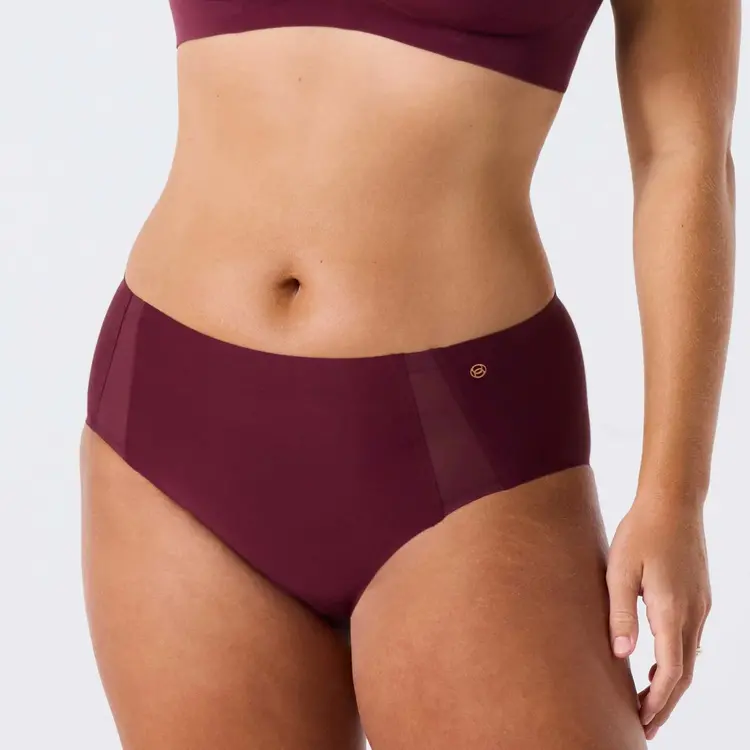 Evelyn & Bobbie Retro High-Rise Bikini Panty - Winter Berry Mesh