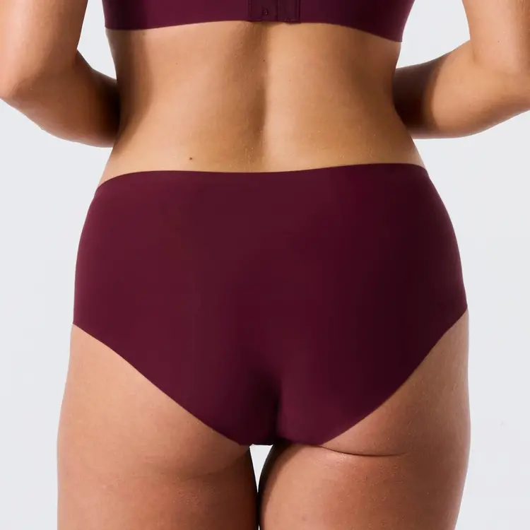 Evelyn & Bobbie Retro High-Rise Bikini Panty - Winter Berry Mesh