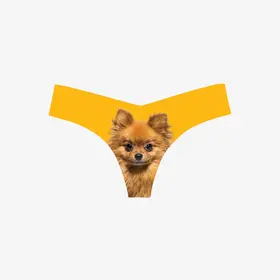 Commando Photo-Op Thong - Pomeranian