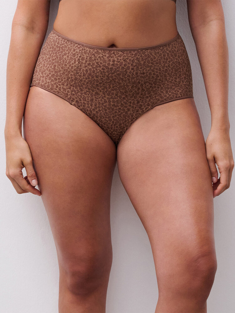 Chantelle Norah Brief Panty - Wild Brown (C60)