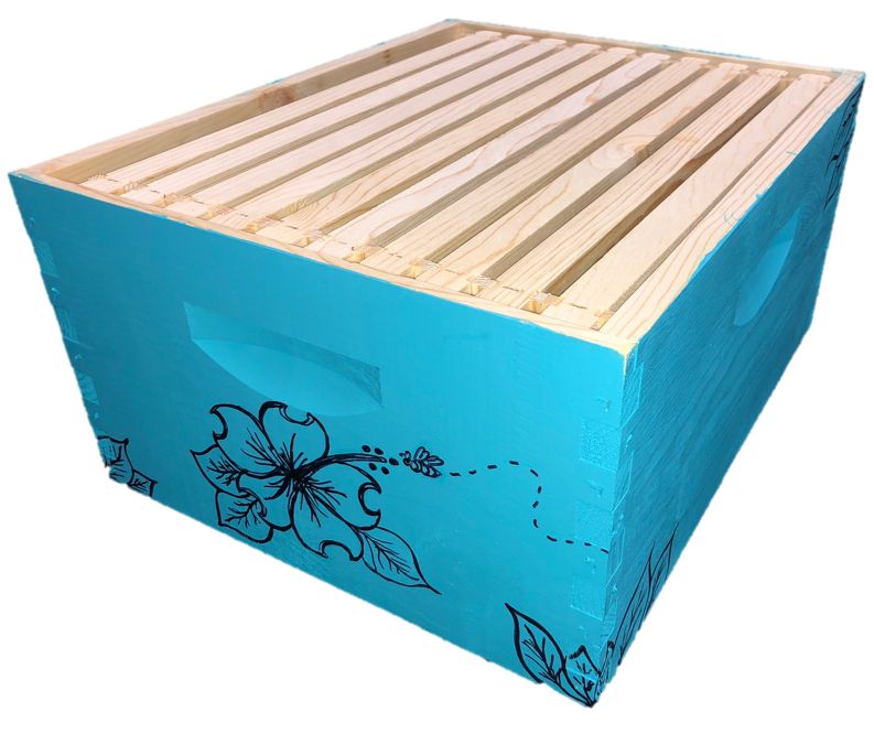 10 Frame Deep Assembled Bright Colors Hive Combo W Frames Foundation