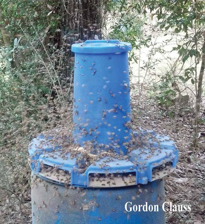 Dry Bee Pro Feeder Texas Bee Supply