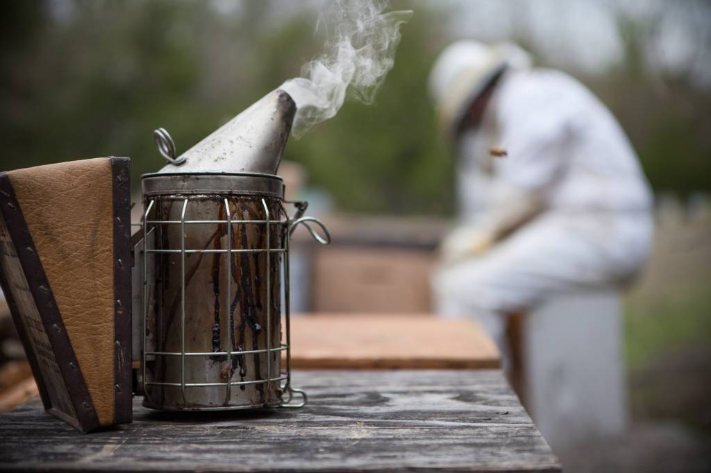 February Beekeeping Tips