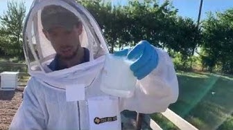 How to test for Mites- Video