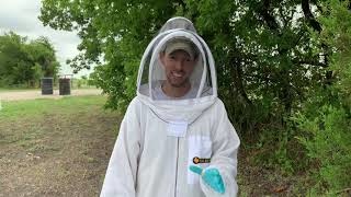 Helpful Tips to Find Your Queen-Video