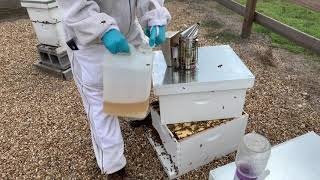 Feeding in the Summer Months-Video