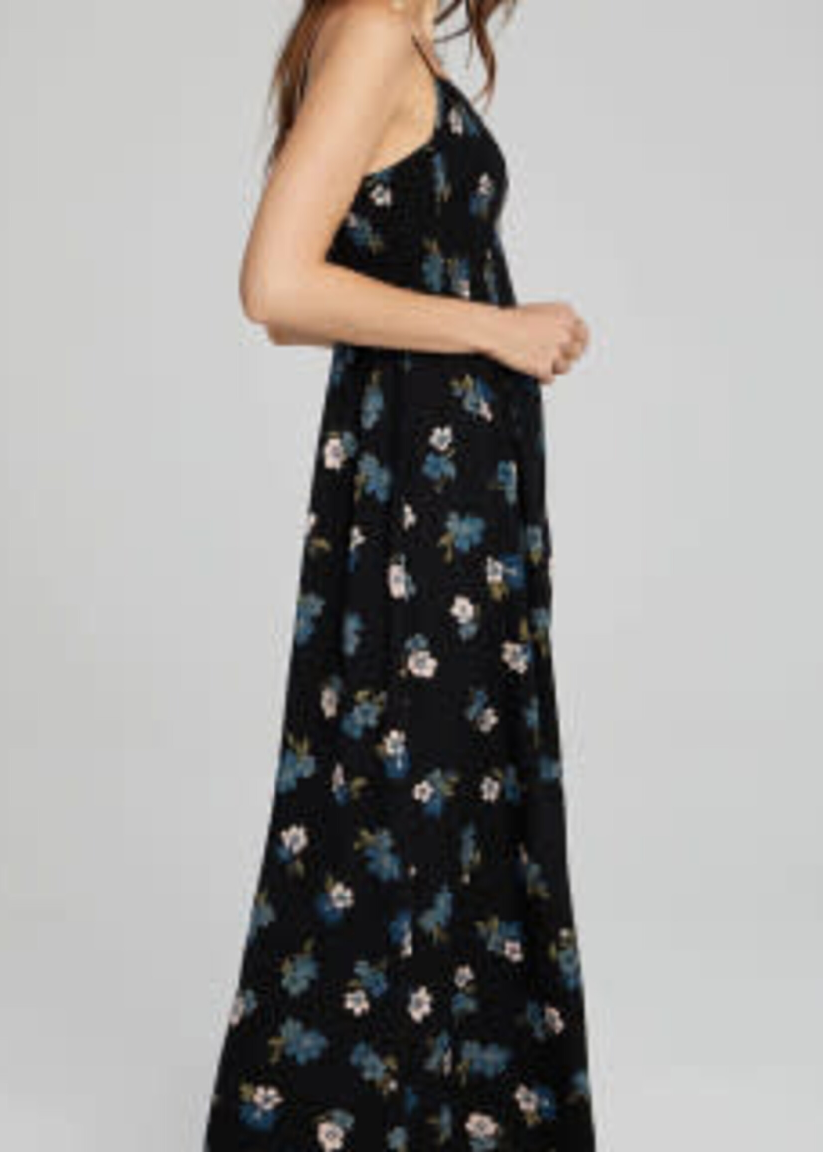 Saltwater Luxe Leighton Maxi Dress