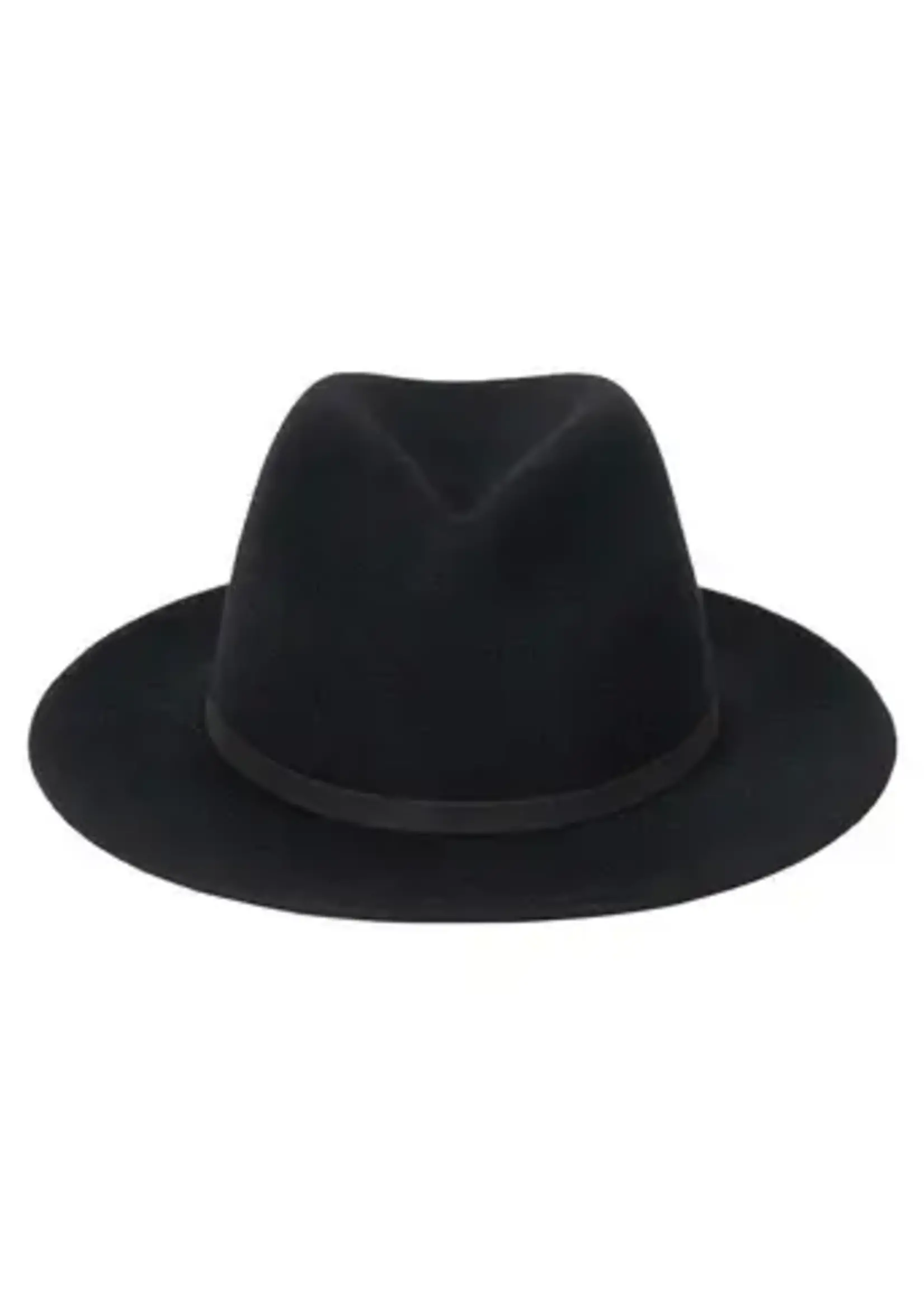 Lack of Color The Palo Fedora