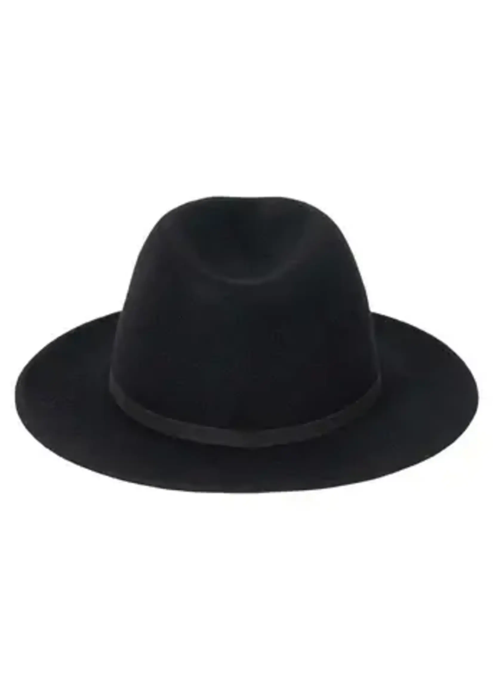 Lack of Color The Palo Fedora