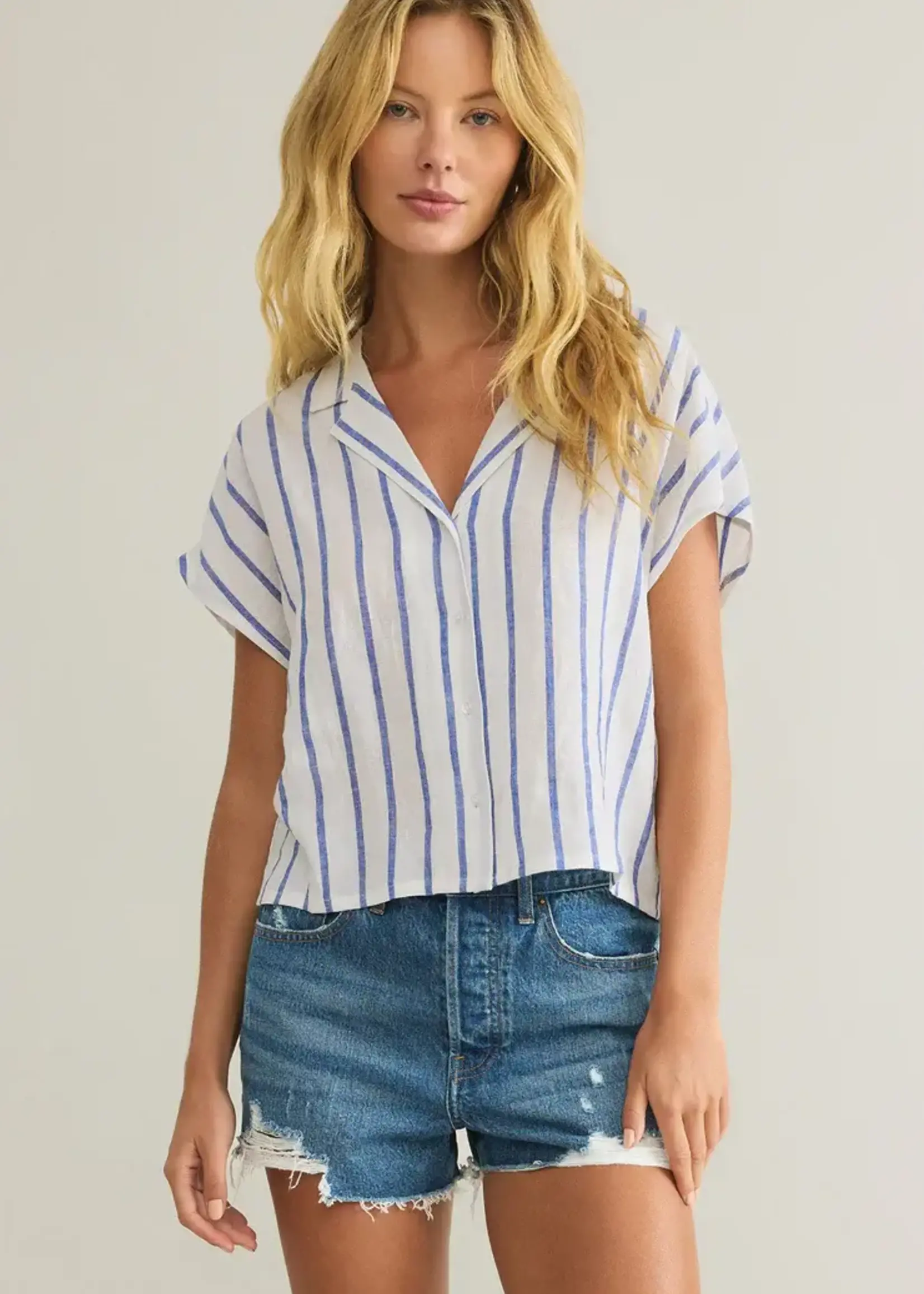 Z SUPPLY Parellel Button Down Top